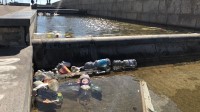 plastica-e-rifiuti-nel-degrado-la-fontana-di-piazza-capitale