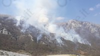 sui-monti-sanniti-e-gia-tempo-di-incendi-canadair-in-azione