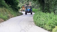 strade-provinciali-al-via-manutenzione-del-verde