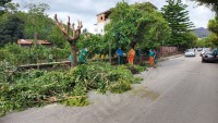 roccapiemonte-alberi-pericolosi-al-via-i-lavori-di-potatura