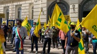 basta-cinghiali-la-coldiretti-in-piazza-anche-nel-sannio-foto