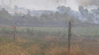 ancora-a-fuoco-ettari-di-vegetazione-ad-apollosa