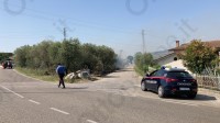 ancora-incendi-in-tutto-il-sannio-il-fuoco-divora-anche-uliveti-e-altre-culture