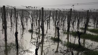 esonda-il-calore-in-valle-telesina-vigneti-sott-acqua-foto