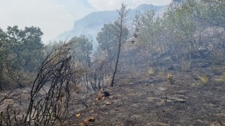 vasto-incendio-a-caggiano-denunciato-il-presunto-piromane