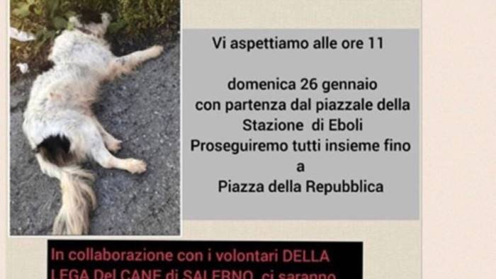 Il cane abbaia e il vicino minaccia la proprietaria con una pistola:  denunciato un uomo in Valsugana