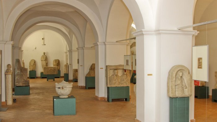 22 nuovi reperti per il museo la donazione di pietrantonio