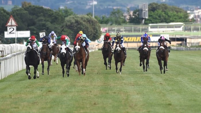 70 persone sorprese a scommettere nell ippodromo di capannelle