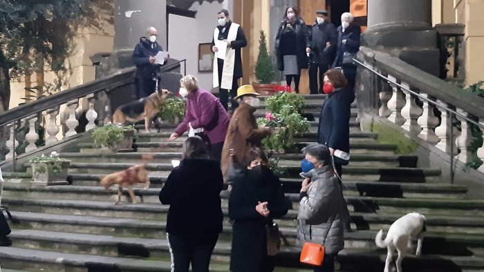 la notte di sant antuono a napoli dedicata agli animali