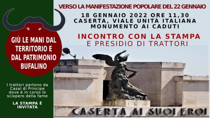 vertenza bufala continua la mobilitazione trattori in corteo a caserta