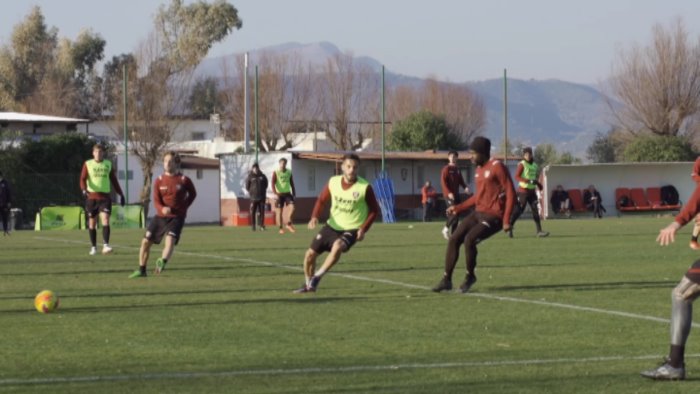 salernitana attesa verdi ritmi serrati al mary rosy