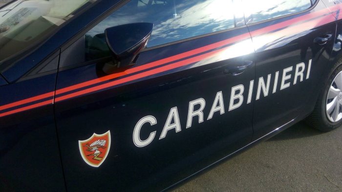 furto in un caseificio di vallo della lucania caccia ai ladri