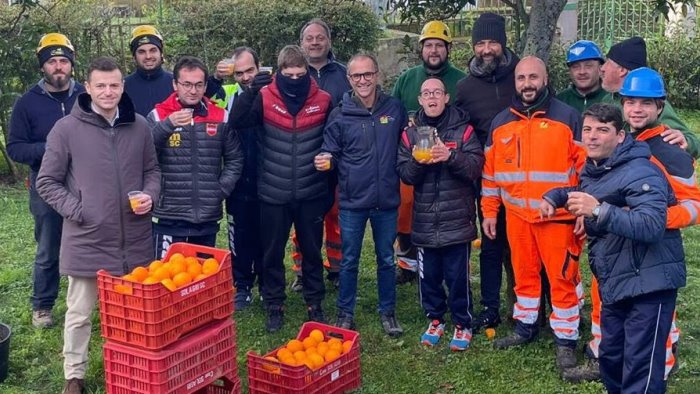 il sorrento orange week la raccolta delle arance dai giardini di montariello