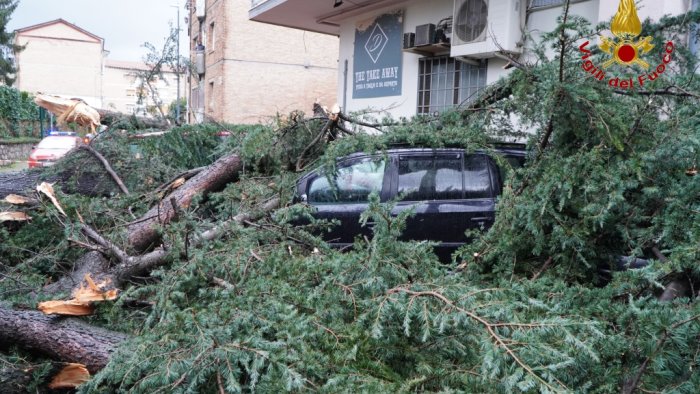 maltempo in irpinia cadono alberi e allagamenti in molti comuni