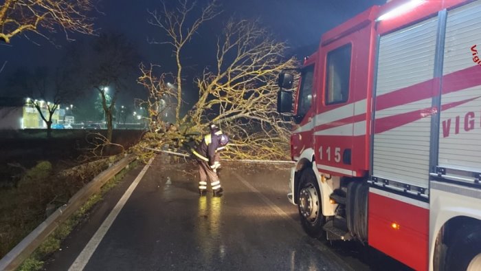 frane vento e alberi caduti il maltempo imperversa sull irpinia