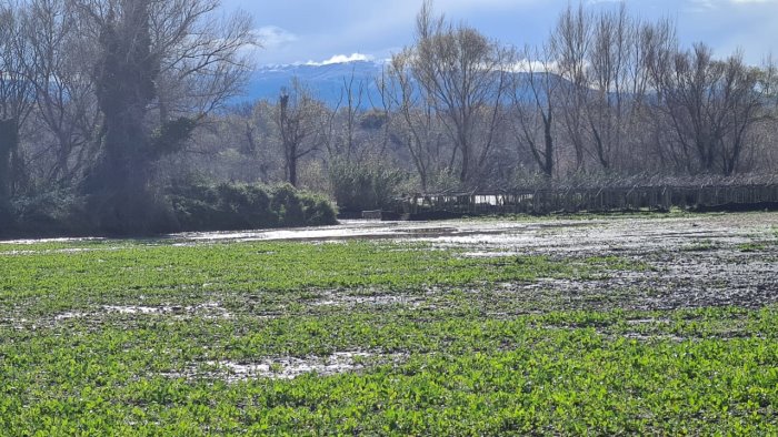 maltempo l agricoltura salernitana regge ed evita il disastro nei campi