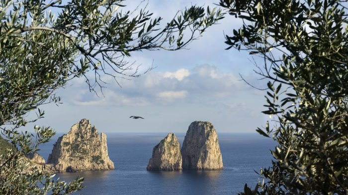 faraglioni capri due scalatori bloccati e salvati dal soccorso alpino