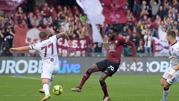 salernitana torino 1 1 vilhena ed ochoa salvano il cavalluccio marino