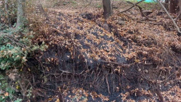 sversamenti nel terreno la guardia agroforestale segnala il caso al comune