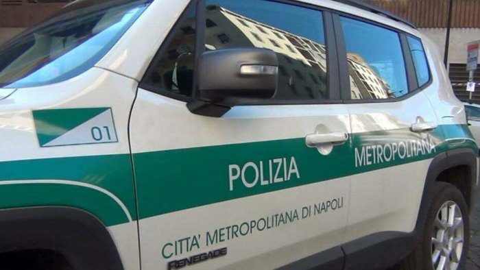 domicella nell officina illegale rifiuti cani in gabbia e uccelli protetti