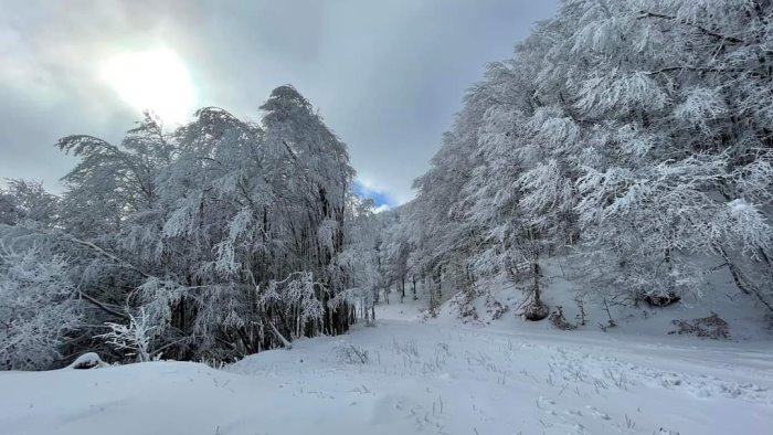 irruzione artica in irpinia neve a bassa quota l osservatorio rischio bufera