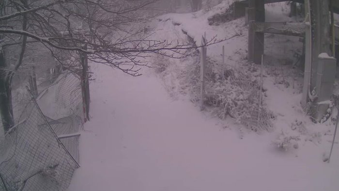 nevica ad avellino bufera di fiocchi bianchi sul partenio e risveglio artico