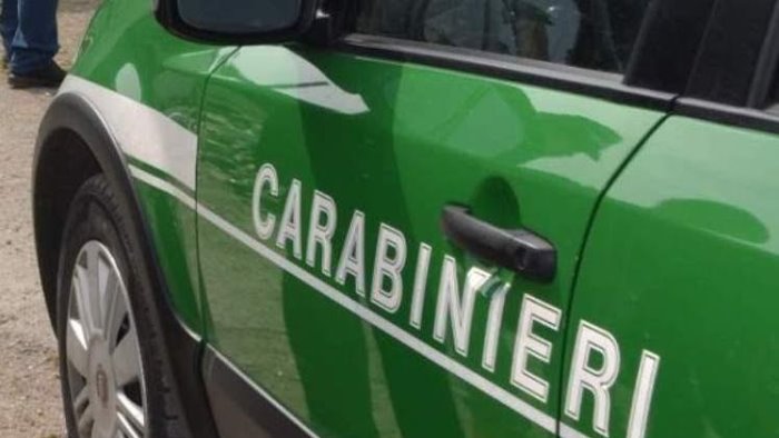 autofficina e carrozzeria abusiva blitz dei carabinieri a monteforte