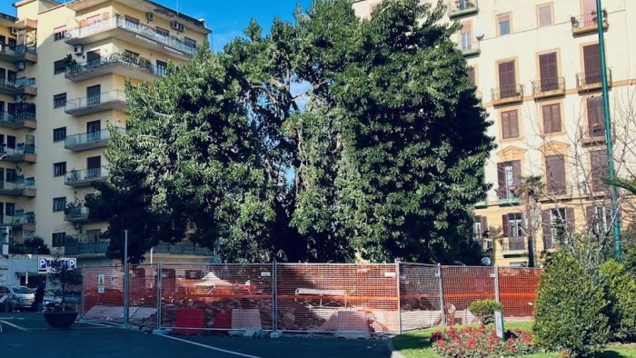 napoli piazza degli artisti ritardi nei lavori per l albero monumentale