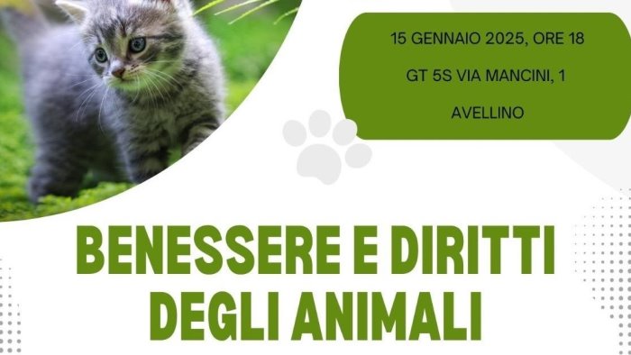 avellino benessere animale focus sul pronto soccorso veterinario