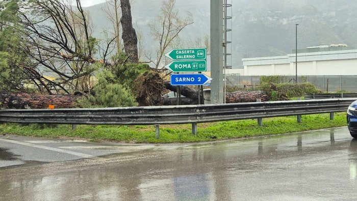 sarno il vento mette in ginocchio la citta crollano alberi chiuse le scuole