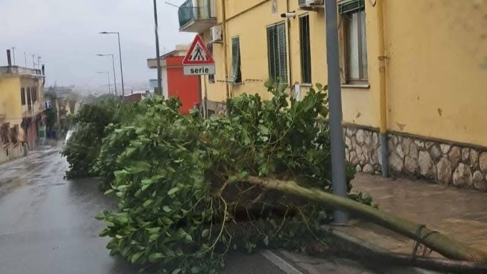 sarno travolta dal vento forte sirica fratelli d italia scarsa manutenzione