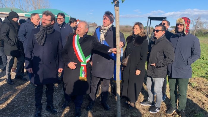 acerra parco akeru piantumato il primo degli 800 alberi