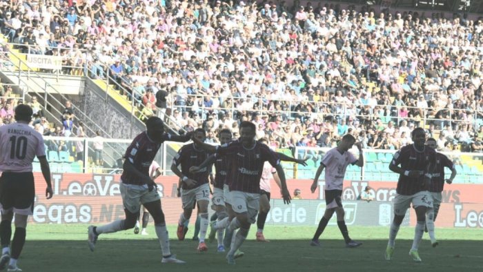 salernitana squalifica record per tello il giudice sportivo ferma avallone