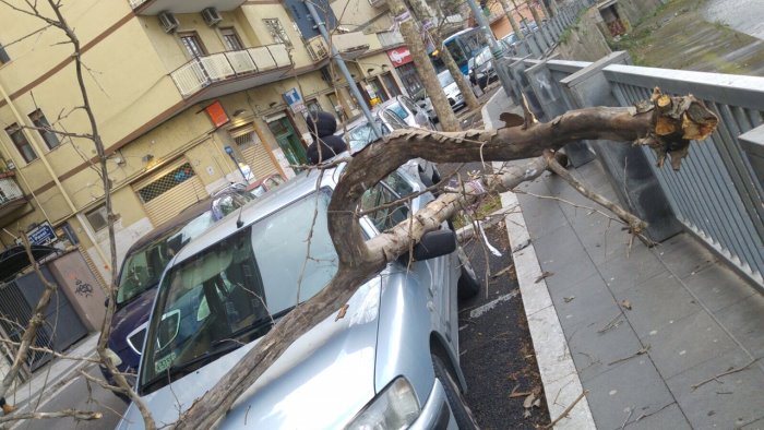 allerta meteo il sindaco di salerno chiude parchi e cimitero