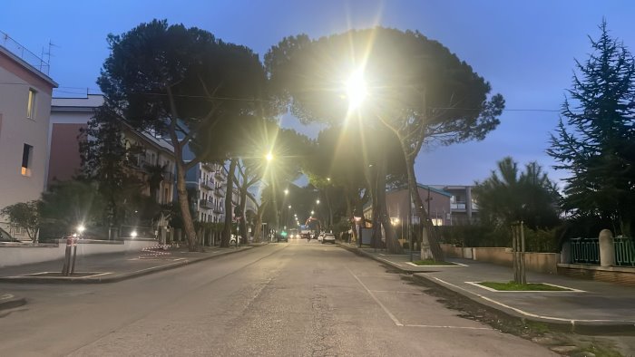 taglio dei pini pericolanti al viale degli atlantici stop a operazioni foto