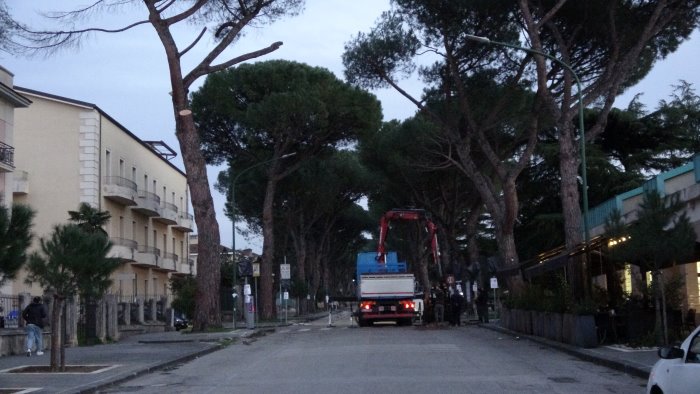 vicenda pini rispetto del lavoro della magistratura ma agito correttamente