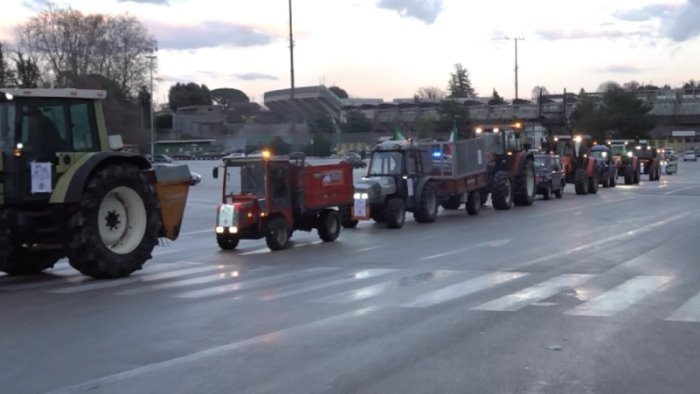 crisi agricoltura riesplode la protesta dei trattori ad avellino