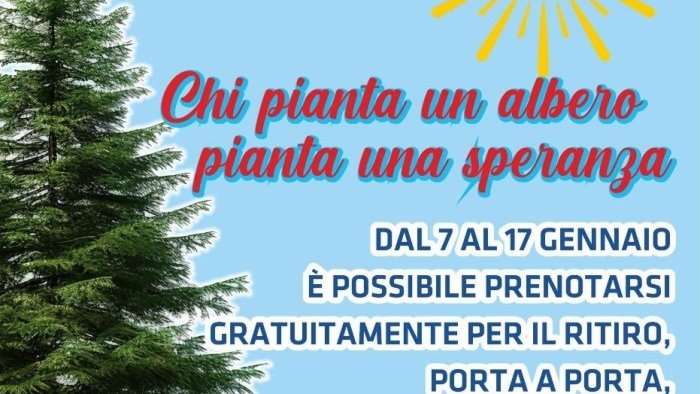 ambiente e lotta agli sprechi raccolta alberi di natale porta a porta