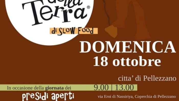 a pellezzano torna l appuntamento con terra slowfood