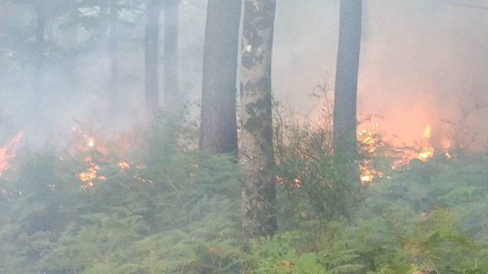 fiamme in un area boschiva protetta nel casertano denunciate due persone