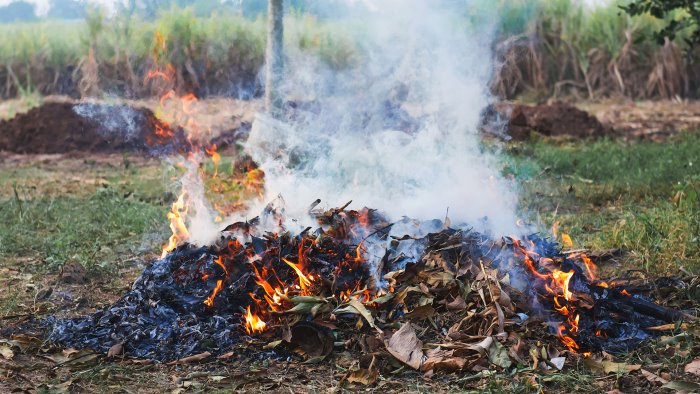 inquinamento da roghi agricoli dopo la tregua e di nuovo allarme