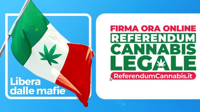 referendum cannabis a benevento riccardo magi