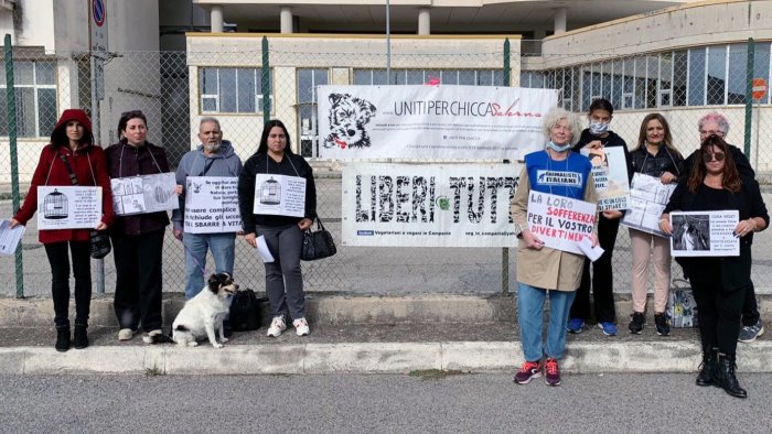 animalisti in protesta a salerno davanti alla fiera ornitologica