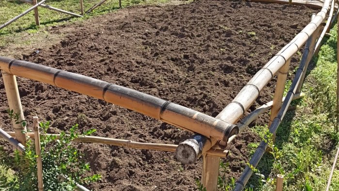 orti didattici al parco reale della reggia di caserta