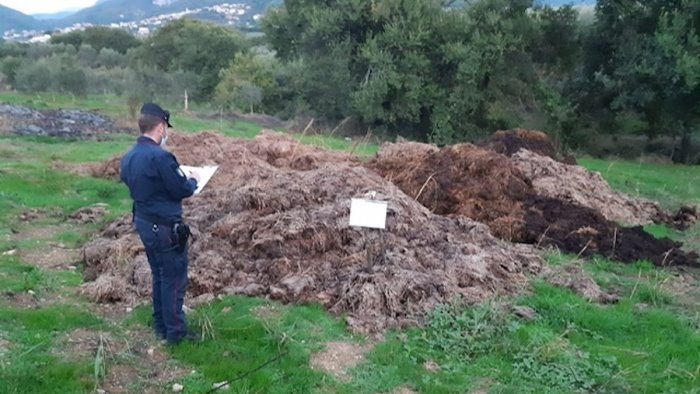 area colma di rifiuti zootecnici scatta il sequestro ad olevano sul tusciano