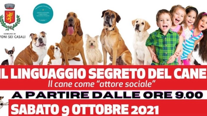 giffoni sei casali quattro giornate dedicate al benessere del cane