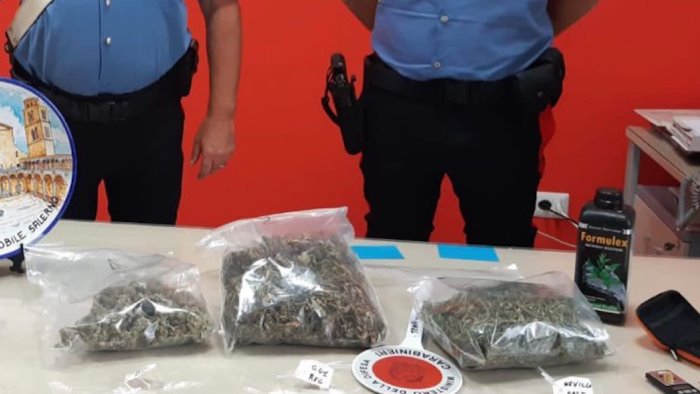 nasconde la droga in casa arrestato 33enne salernitano