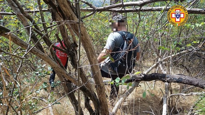 scende dal cratere e cade nei rovi del vesuvio con il cane salvato