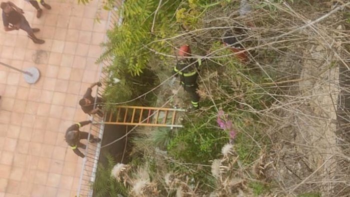 precipita nella scarpata tra salerno e vietri sul mare trovato morto 61enne