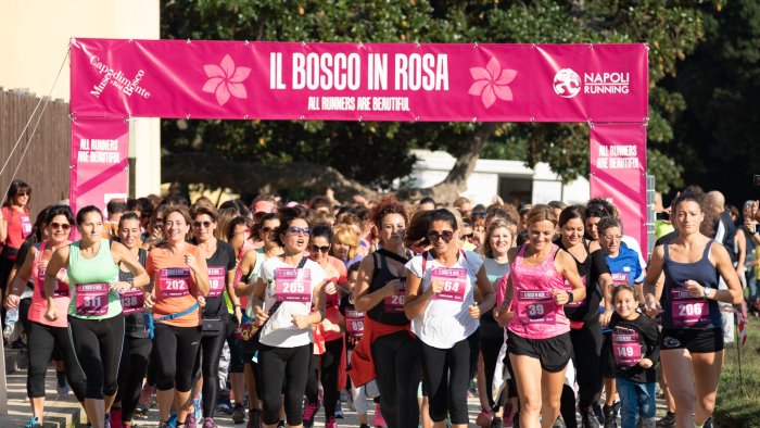 napoli a capodimonte l evento bosco in rosa corri tra i capolavori